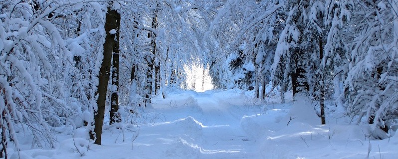 Julefeber med Tine Ohrt i København d. 21.-22. november
